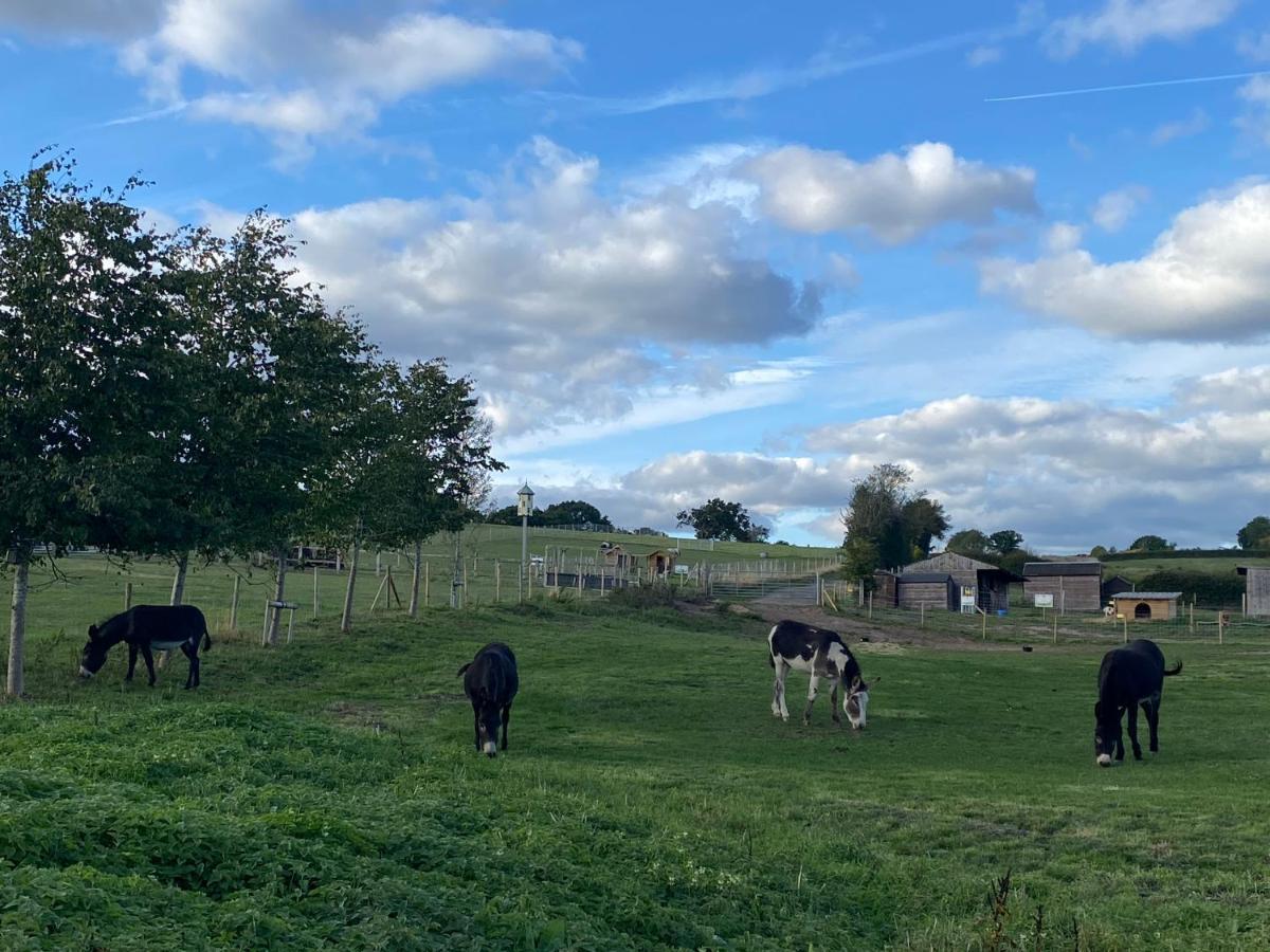 Fairview Farm Holiday Accommodation 14 Luxury Lodges, Cabins, Dog Friendly, Suitable For Couples, Families And Groups, Wedding Guests , Corporate Events, Sleeps 2-65 Guests In Ravenshead, Nottingham Near Sherwood Forest, Set In 88 Acres Екстериор снимка