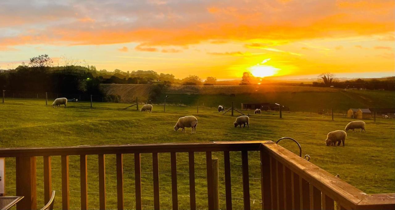 Fairview Farm Holiday Accommodation 14 Luxury Lodges, Cabins, Dog Friendly, Suitable For Couples, Families And Groups, Wedding Guests , Corporate Events, Sleeps 2-65 Guests In Ravenshead, Nottingham Near Sherwood Forest, Set In 88 Acres Екстериор снимка