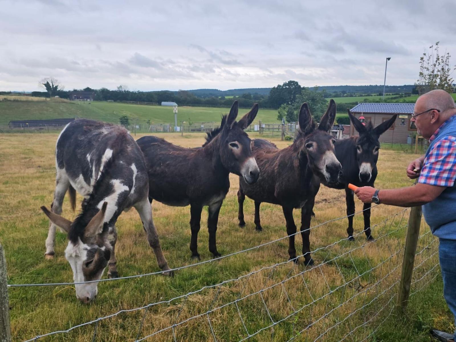 Fairview Farm Holiday Accommodation 14 Luxury Lodges, Cabins, Dog Friendly, Suitable For Couples, Families And Groups, Wedding Guests , Corporate Events, Sleeps 2-65 Guests In Ravenshead, Nottingham Near Sherwood Forest, Set In 88 Acres Екстериор снимка