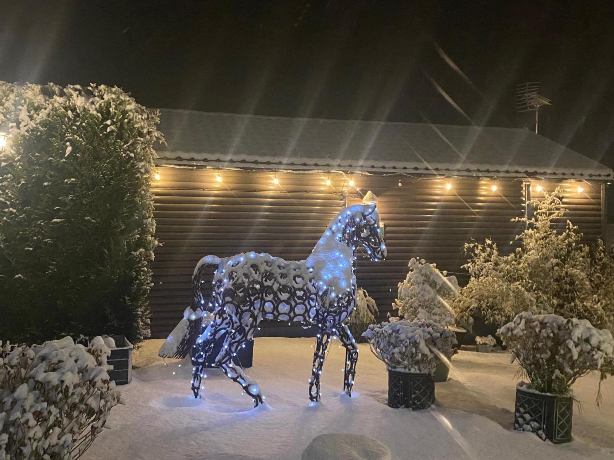 Fairview Farm Holiday Accommodation 14 Luxury Lodges, Cabins, Dog Friendly, Suitable For Couples, Families And Groups, Wedding Guests , Corporate Events, Sleeps 2-65 Guests In Ravenshead, Nottingham Near Sherwood Forest, Set In 88 Acres Екстериор снимка