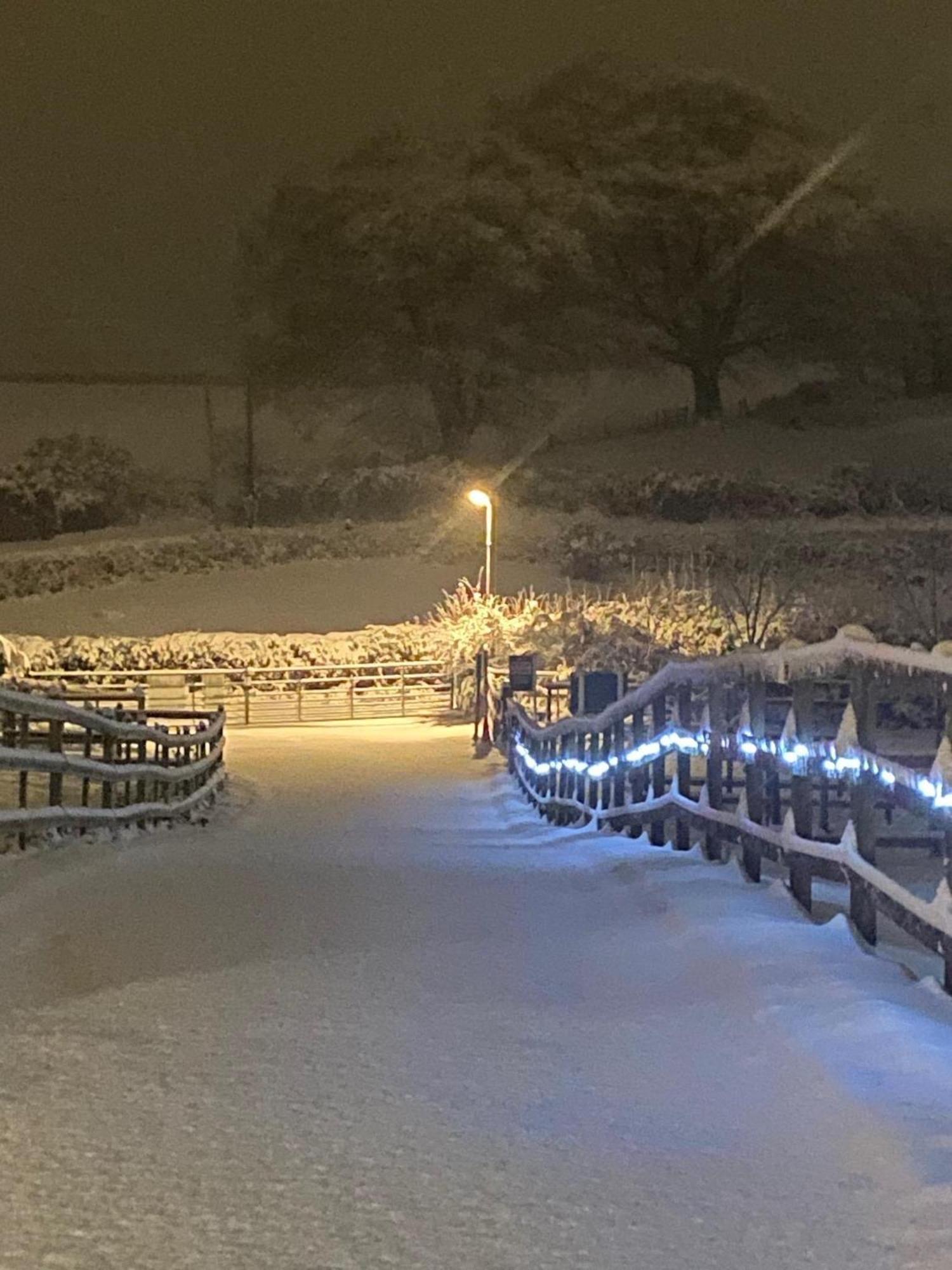 Fairview Farm Holiday Accommodation 14 Luxury Lodges, Cabins, Dog Friendly, Suitable For Couples, Families And Groups, Wedding Guests , Corporate Events, Sleeps 2-65 Guests In Ravenshead, Nottingham Near Sherwood Forest, Set In 88 Acres Екстериор снимка