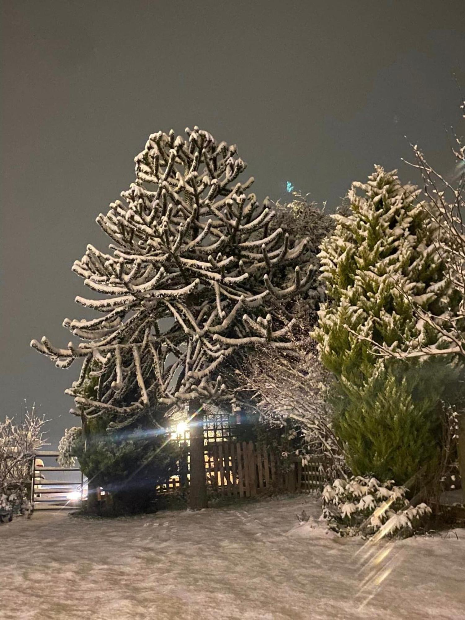 Fairview Farm Holiday Accommodation 14 Luxury Lodges, Cabins, Dog Friendly, Suitable For Couples, Families And Groups, Wedding Guests , Corporate Events, Sleeps 2-65 Guests In Ravenshead, Nottingham Near Sherwood Forest, Set In 88 Acres Екстериор снимка